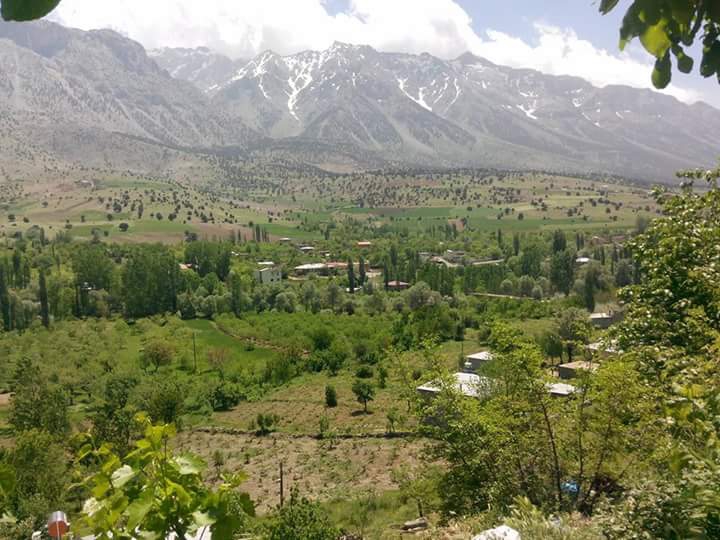 Adana Pozantı Aşçıbekirli Köyü Resimleri 3
