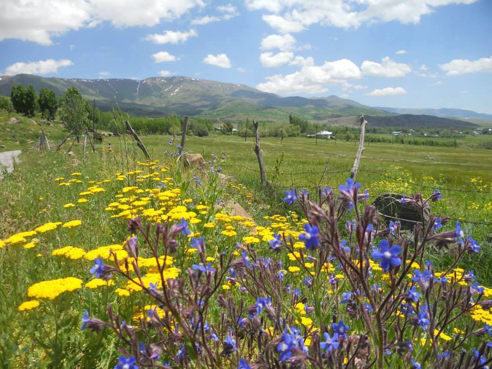 Varto Dağcılar Köyü Resimleri 3
