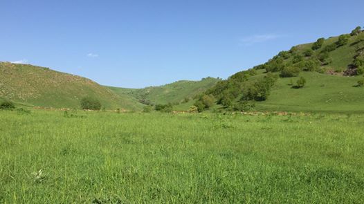 Varto Dallıöz Köyü Resimleri 8