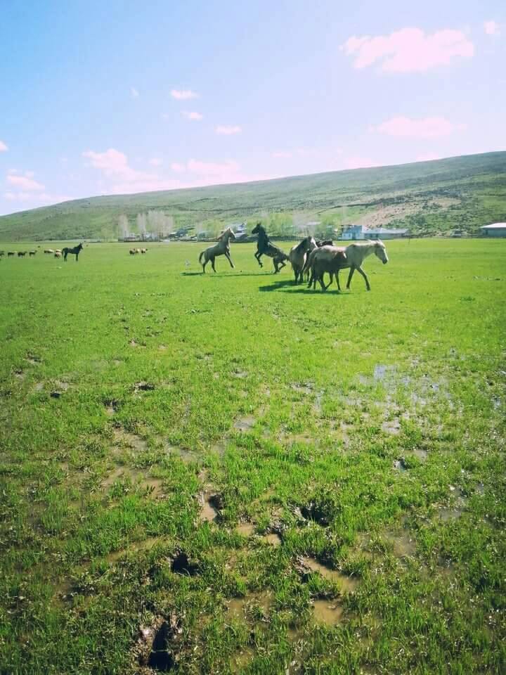 Varto Derince Köyü Resimleri 3