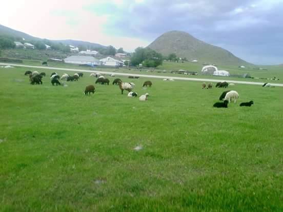 Varto Esenler Köyü Resimleri 1