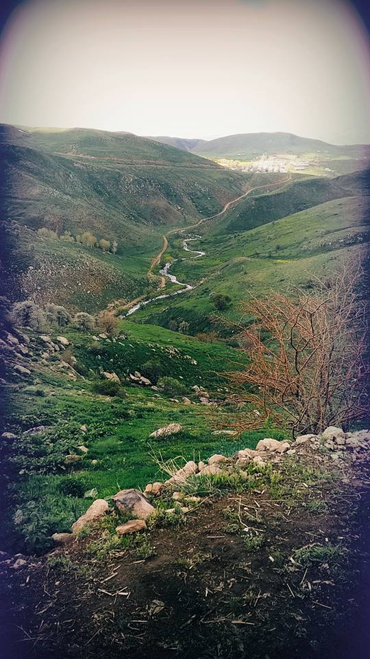 Varto Gölyayla Köyü Resimleri 5