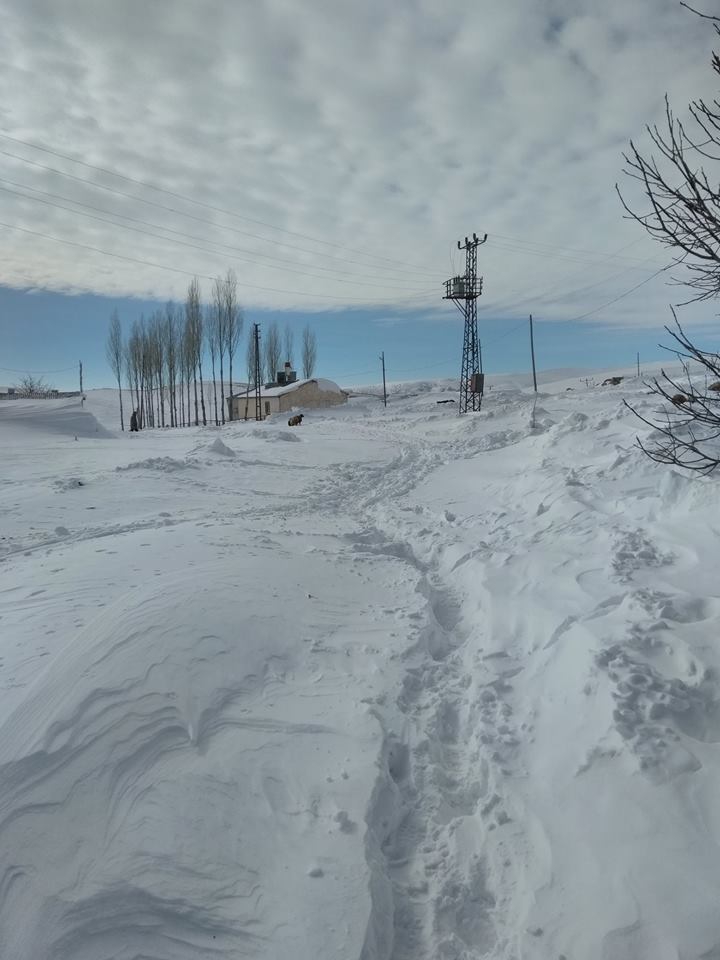 Varto Gölyayla Köyü Resimleri 7