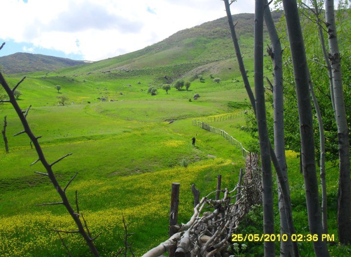 Varto Görgü Köyü Resimleri 1