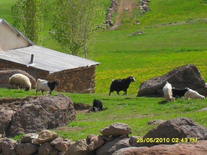 Varto Görgü Köyü Resimleri 2