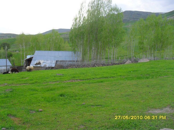 Varto Görgü Köyü Resimleri 3