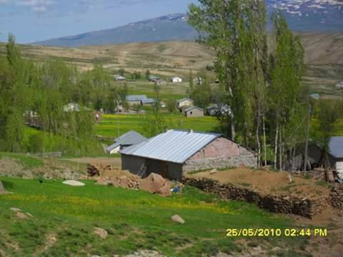 Varto Görgü Köyü Resimleri 4