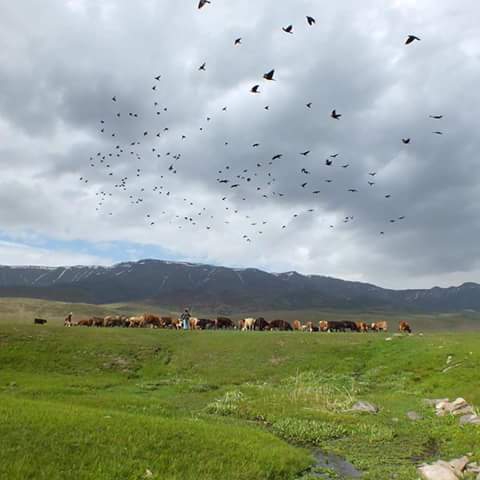 Varto Güzelkent Köyü Resimleri 7