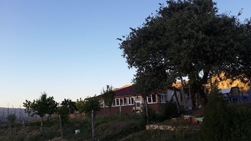 Divriği Akbaba Köyü Resimleri 4