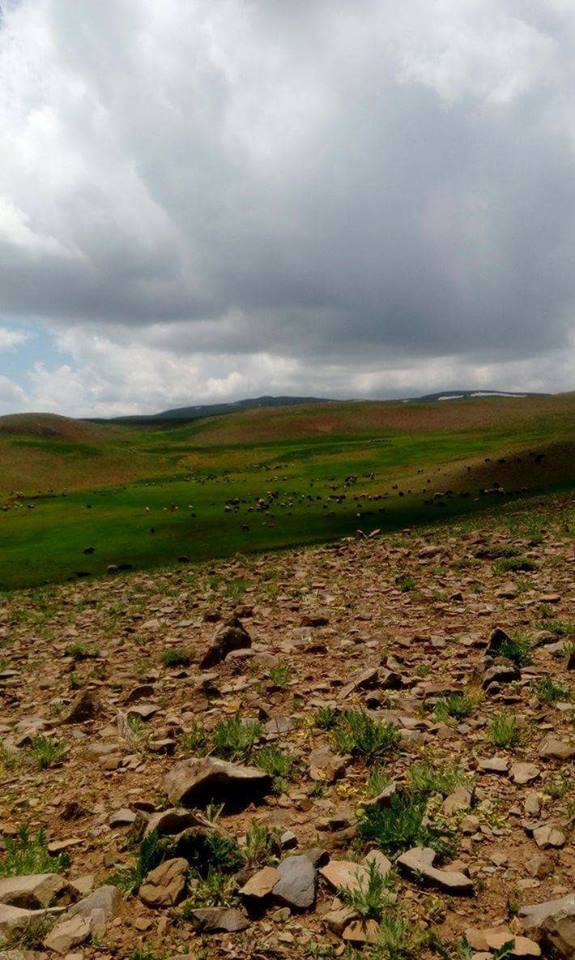 Varto Haksever Köyü Resimleri 1