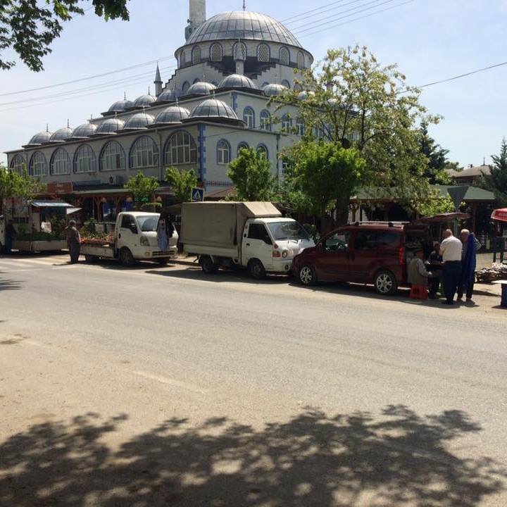 Gebze Balçık Köyü Resimleri 12
