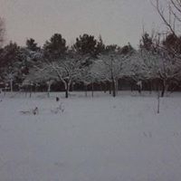 Gebze Balçık Köyü Resimleri 6