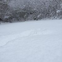 Gebze Balçık Köyü Resimleri 7