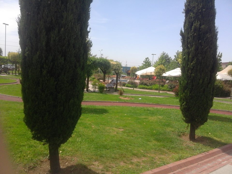 Gebze Beylikbağı Köyü Resimleri 3