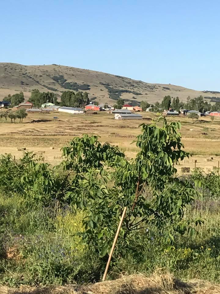 Varto İçmeler Köyü Resimleri 6