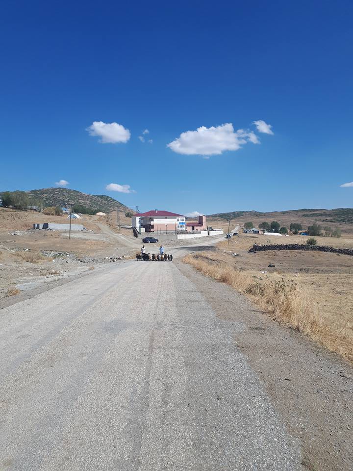 Varto Karaköy Köyü Resimleri 4