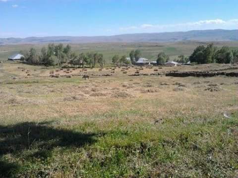 Varto Karaköy Köyü Resimleri 6