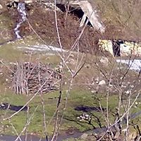 Kocaeli Cumhuriyet Köyü Resimleri 8