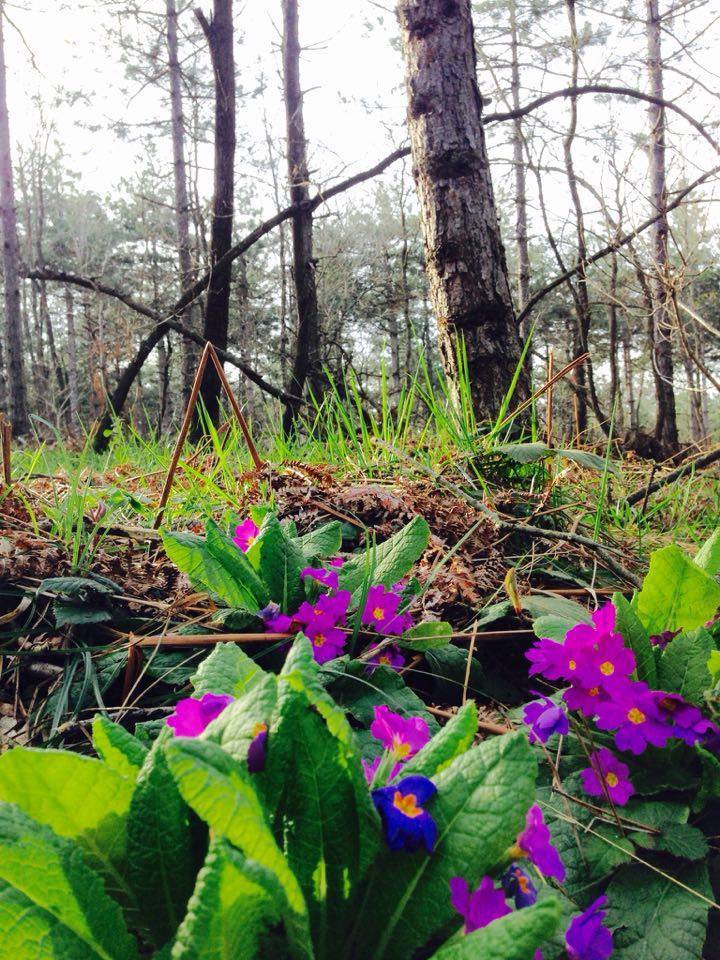 Gebze Denizli Köyü Resimleri 4