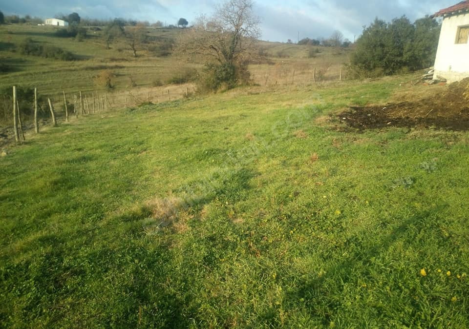 Gebze Elbizli Köyü Resimleri 4