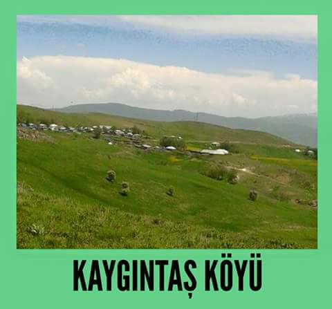 Varto Kaygıntaş Köyü Resimleri 1