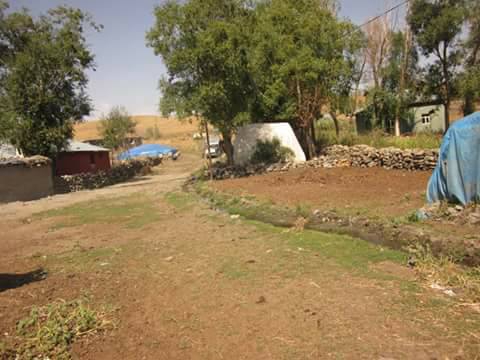 Varto Kaygıntaş Köyü Resimleri 2