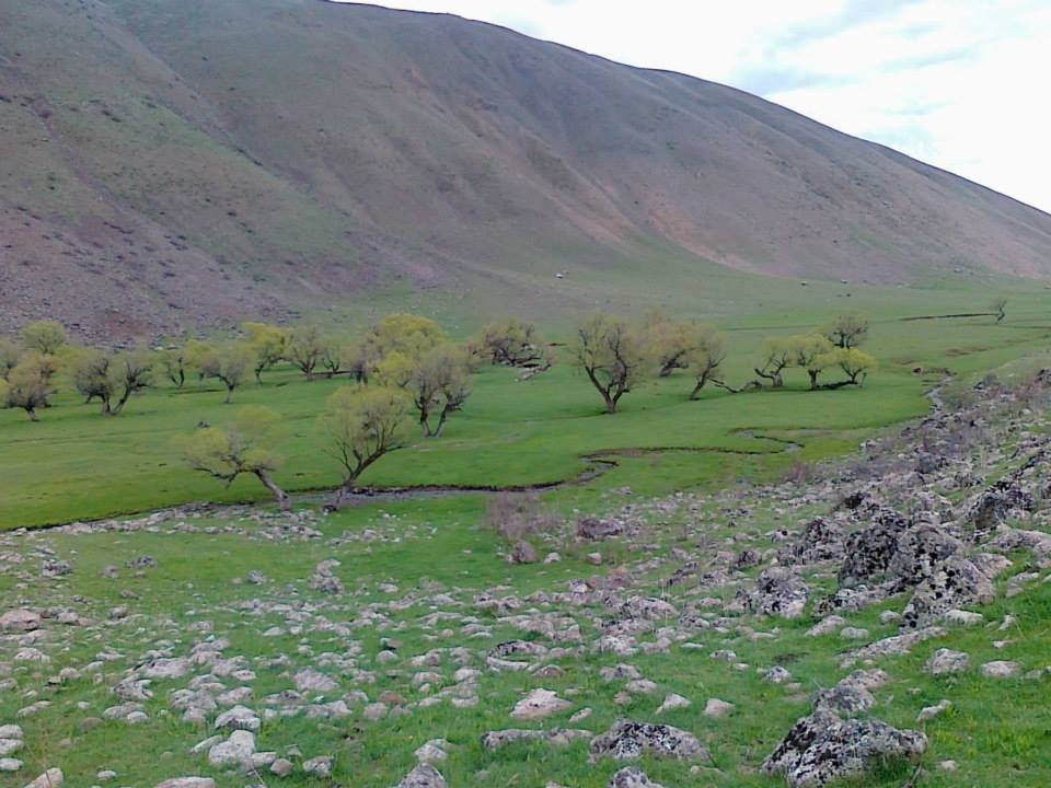 Varto Kolan Köyü Resimleri 1