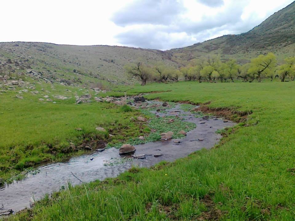 Varto Kolan Köyü Resimleri 5