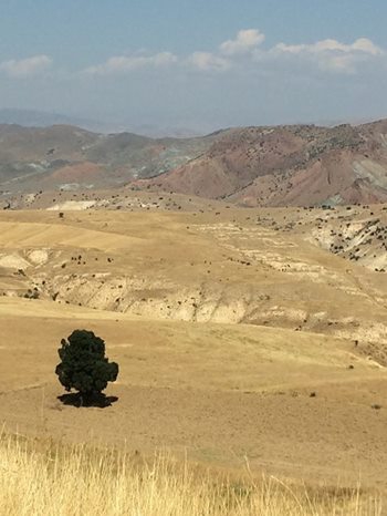 Divriği Atmalıoğlu Köyü Resimleri 1