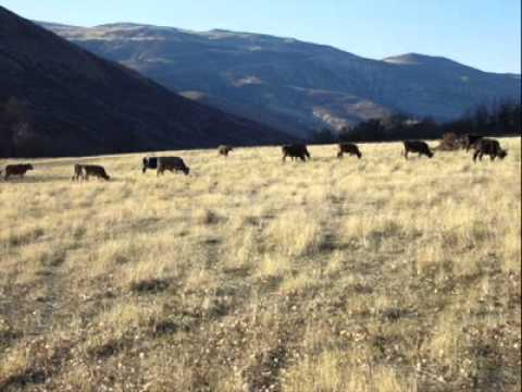 Divriği Atmalıoğlu Köyü Resimleri 4