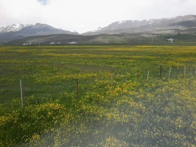 Varto Sazlıca Köyü Resimleri 5