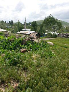 Varto Sazlıca Köyü Resimleri 6