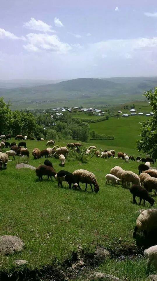 Varto Tuzlu Köyü Resimleri 5