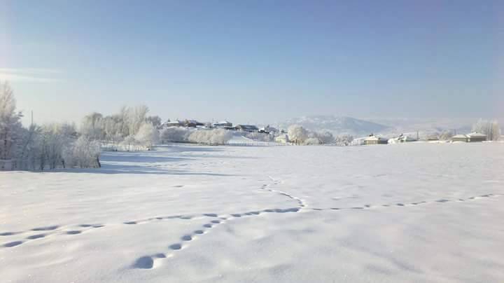 Varto Tuzlu Köyü Resimleri 7