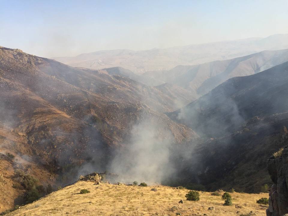 Divriği Avşarcık Köyü Resimleri 1
