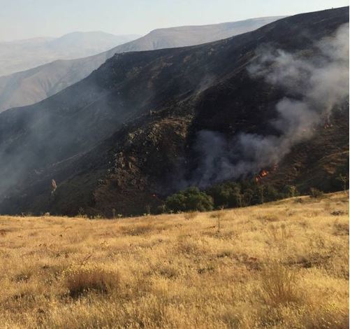 Divriği Avşarcık Köyü Resimleri 12