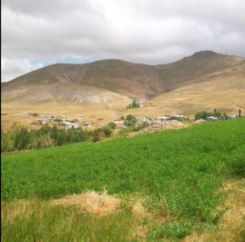 Divriği Avşarcık Köyü Resimleri 8