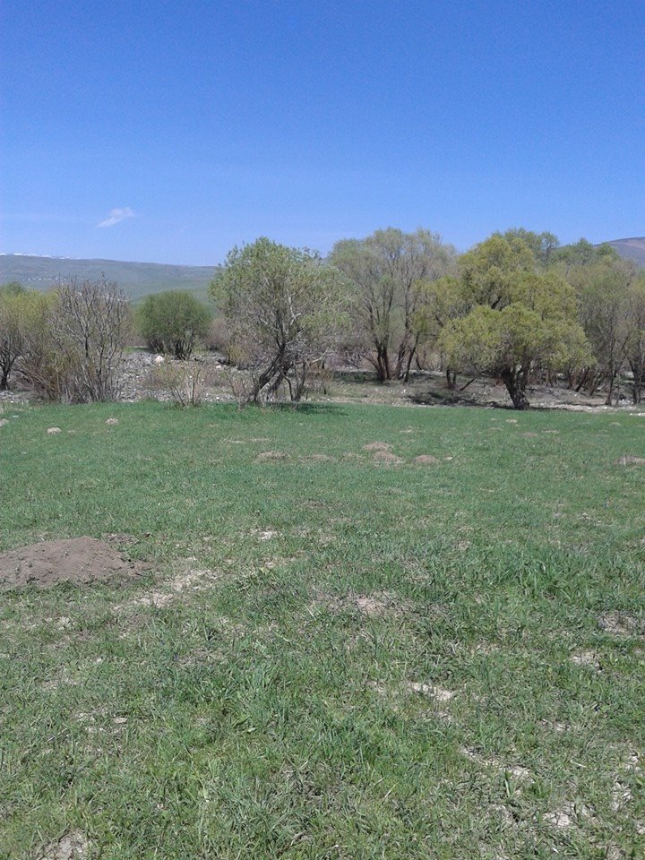 Varto Ulusırt Köyü Resimleri 3