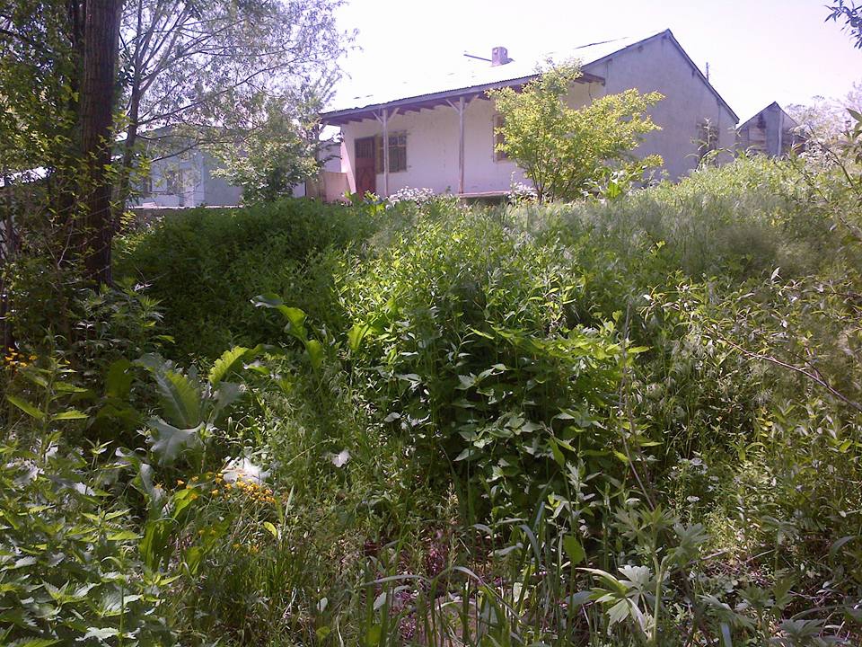 Varto Ulusırt Köyü Resimleri 4