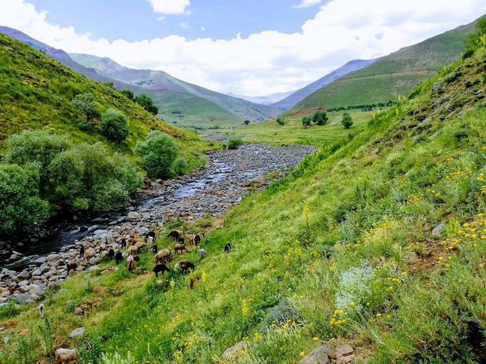 Varto Yarlısu Köyü Resimleri 2