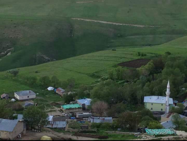 Varto Yayla Köyü Resimleri 1