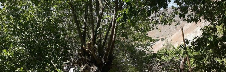 Divriği Bahçeli Köyü Resimleri 11