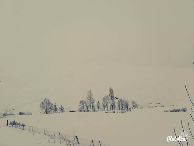 Muş Ağaçlık Köyü Resimleri 1