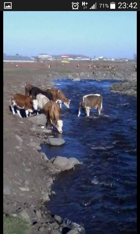 Gebze İstasyon Köyü Resimleri 1