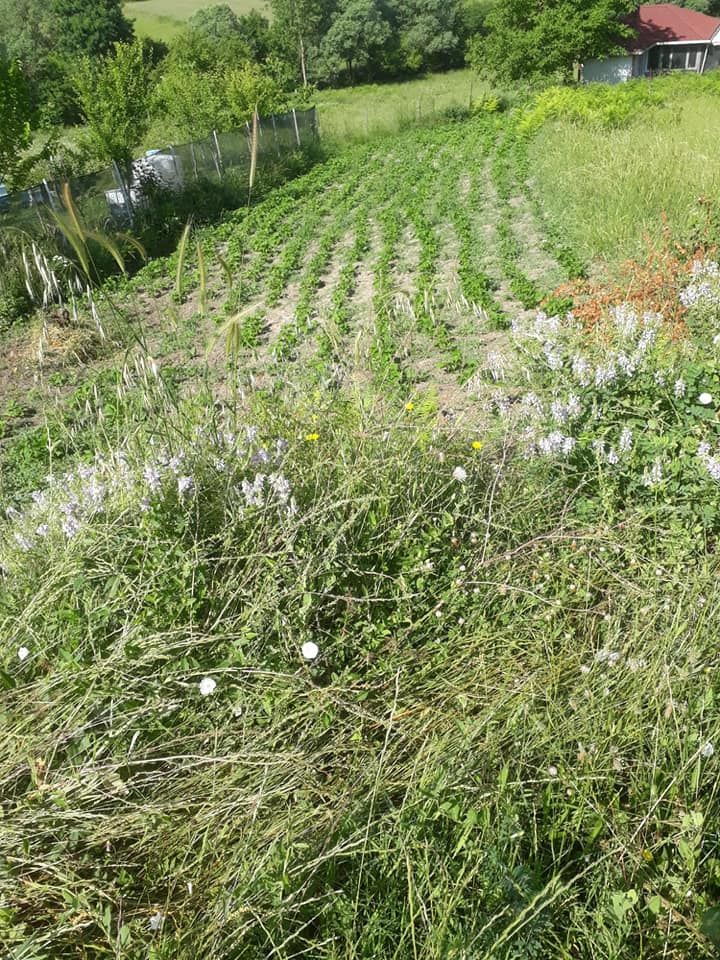 Gebze Kargalı Köyü Resimleri 10