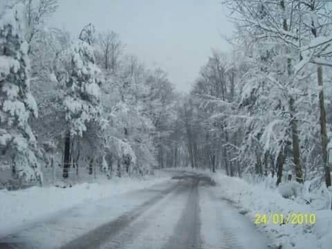 Gebze Kargalı Köyü Resimleri 3