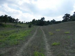 Gebze Kargalı Köyü Resimleri 7