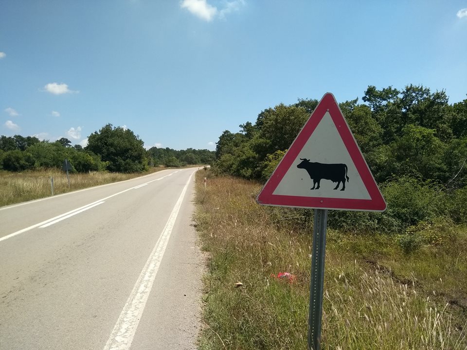 Gebze Kargalı Köyü Resimleri 8