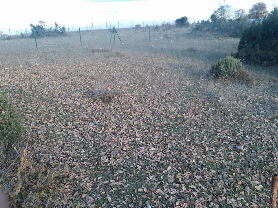 Gebze Mollaferani Köyü Resimleri 11