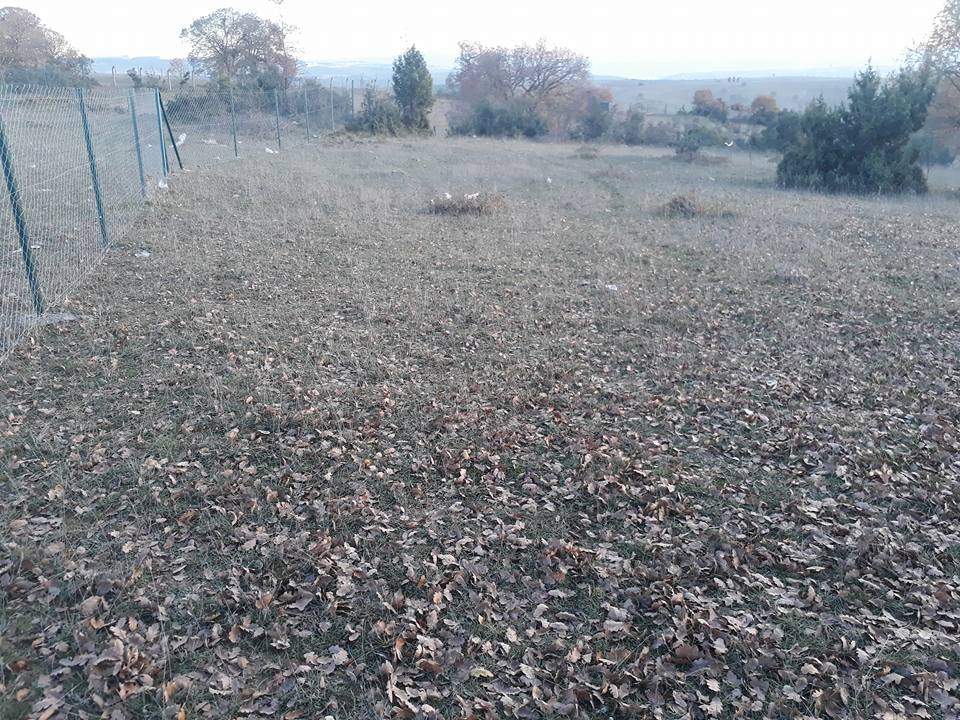 Gebze Mollaferani Köyü Resimleri 9